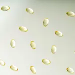 Integratore collagene: sceglilo con formula completa