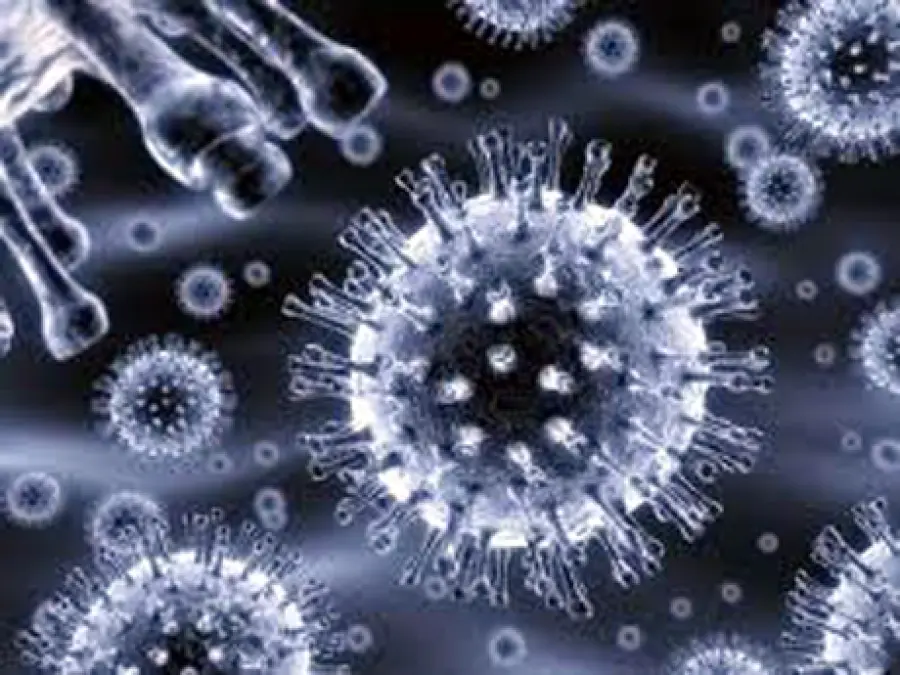 Si può usare la luce UV per uccidere il virus dell'influenza aviaria?