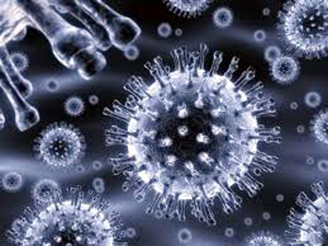 Si può usare la luce UV per uccidere il virus dell'influenza aviaria?