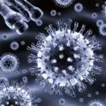 Si può usare la luce UV per uccidere il virus dell'influenza aviaria?