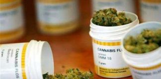 Una nuova ricerca smentisce due miti sulla marijuana medica